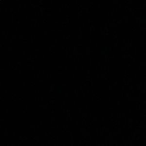 Meet your Posher, Rickayla